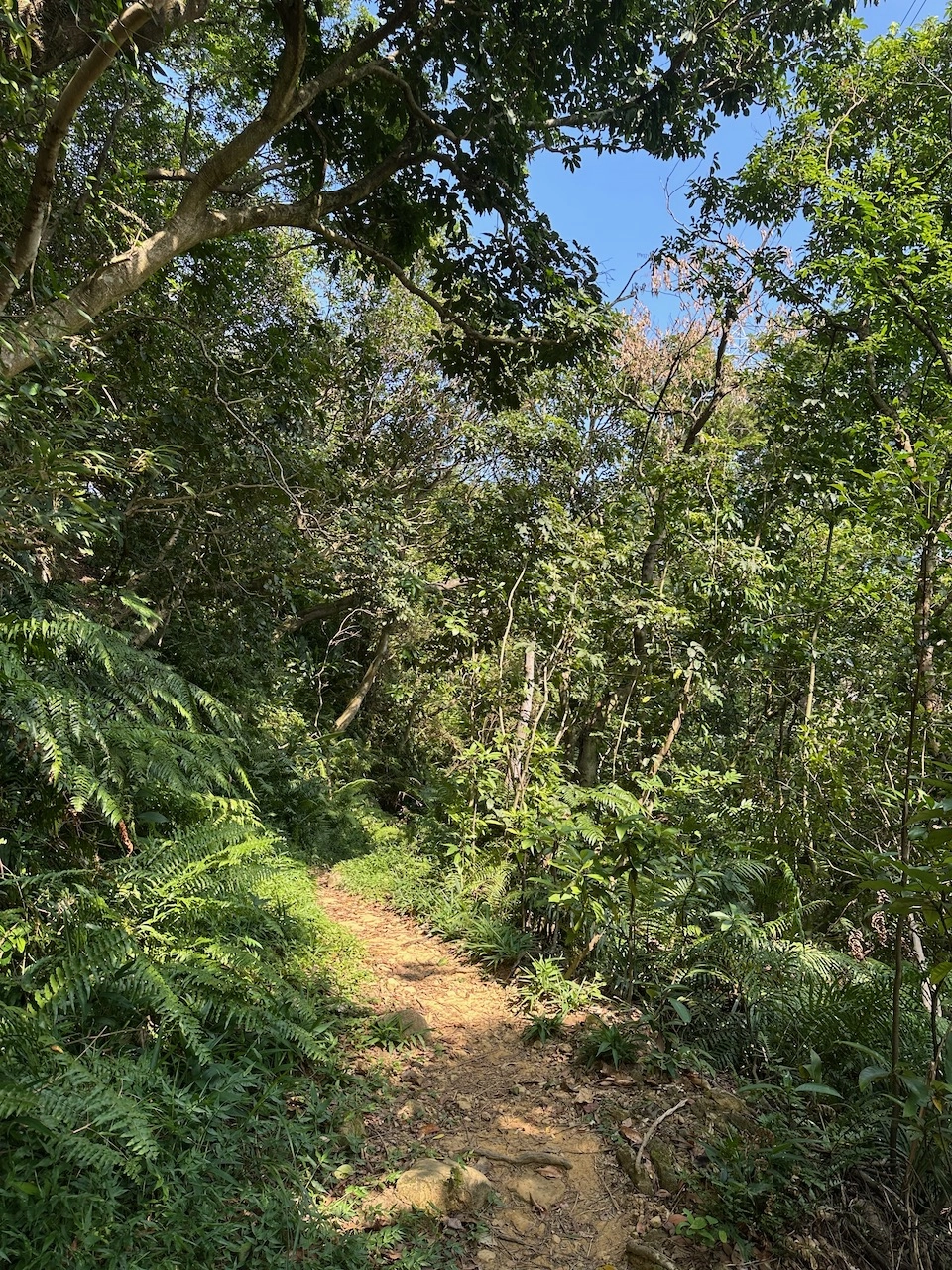 福州山公園