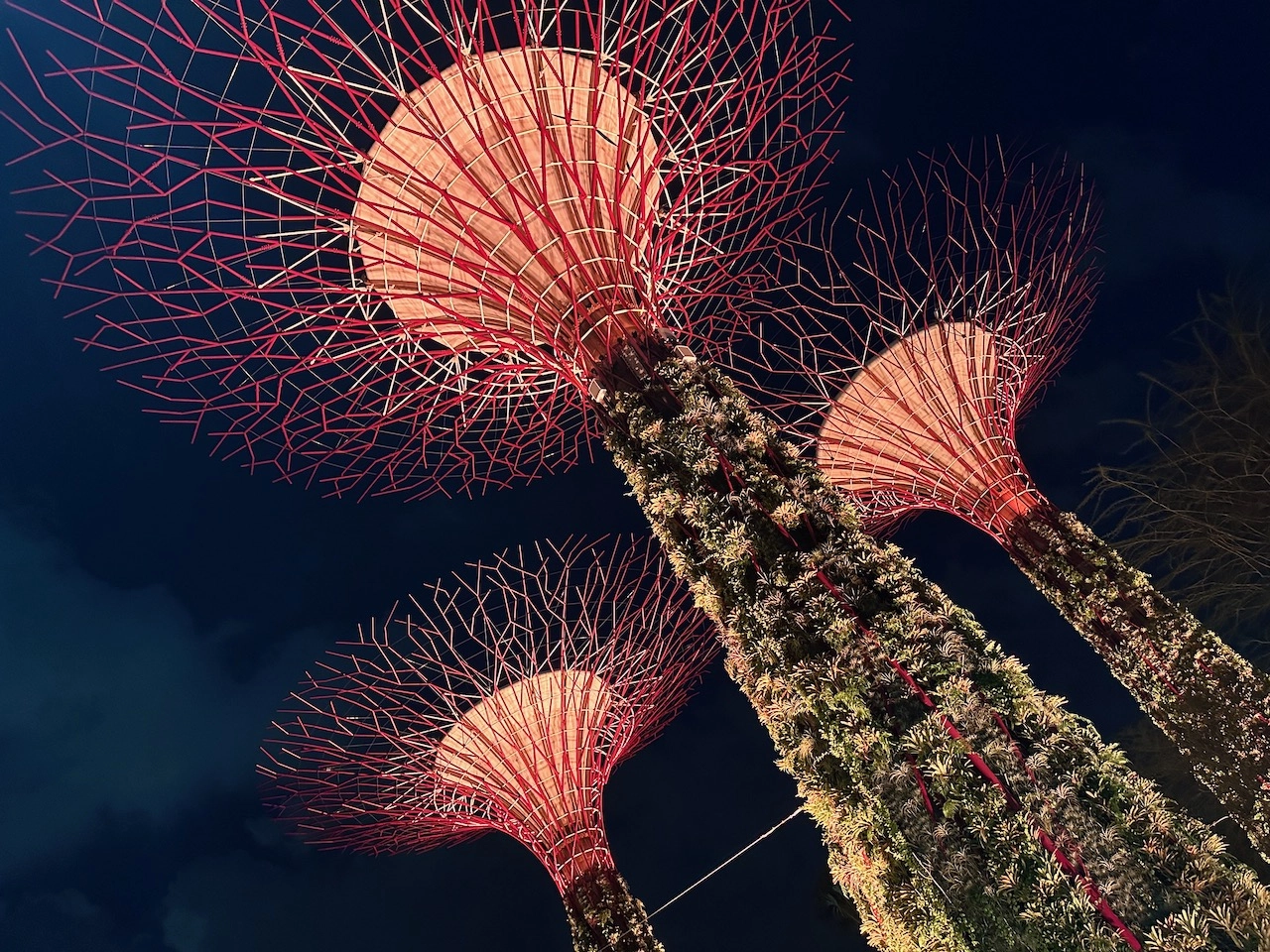 supertree grove