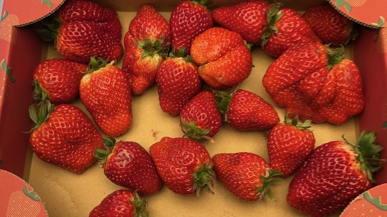 strawberry