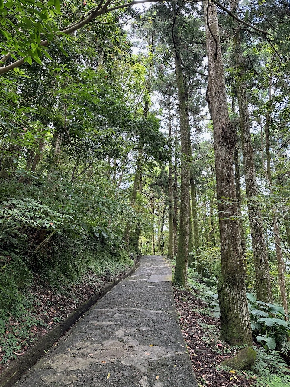 dongyanshan