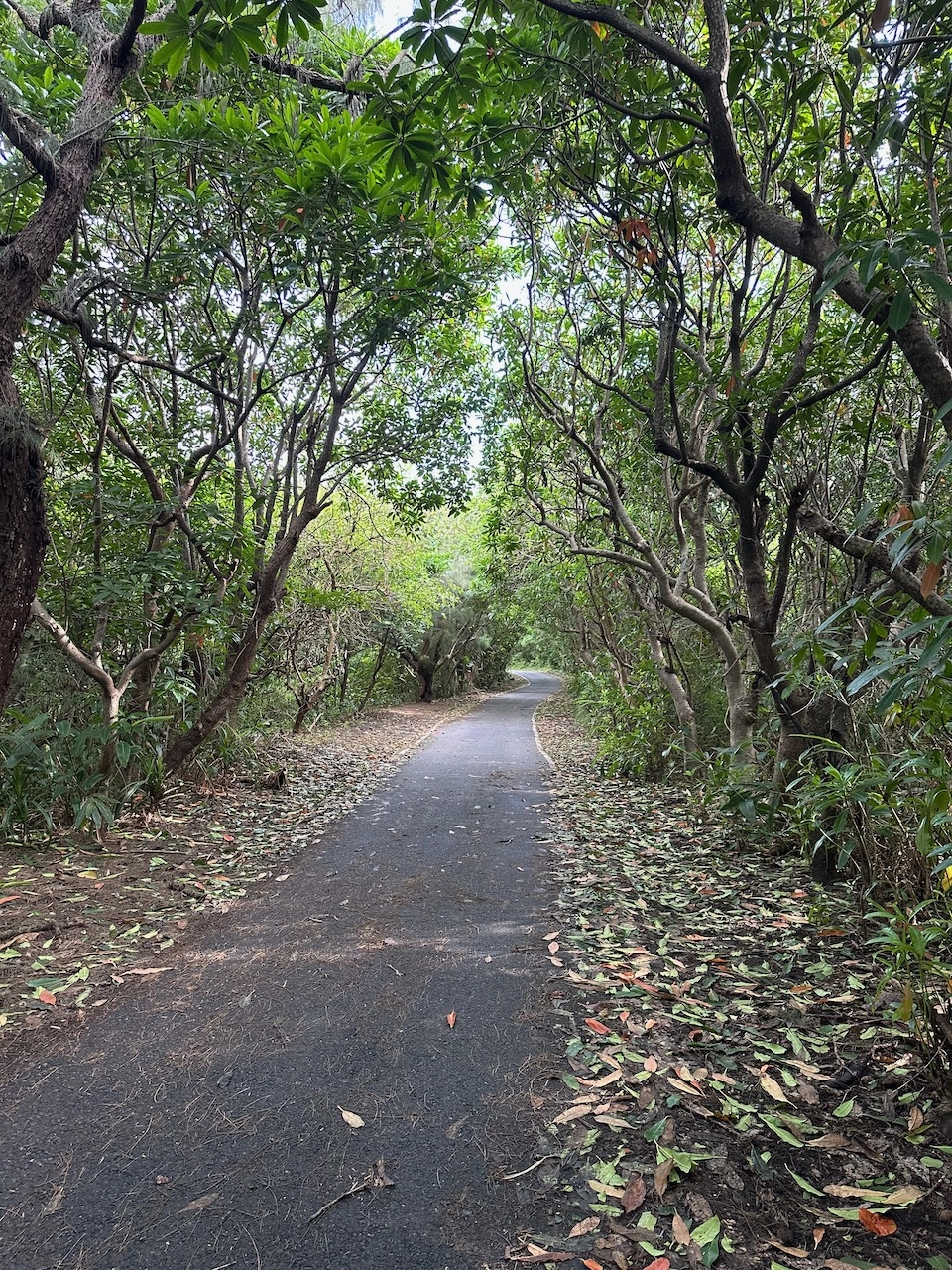 竹安河口自行車步道