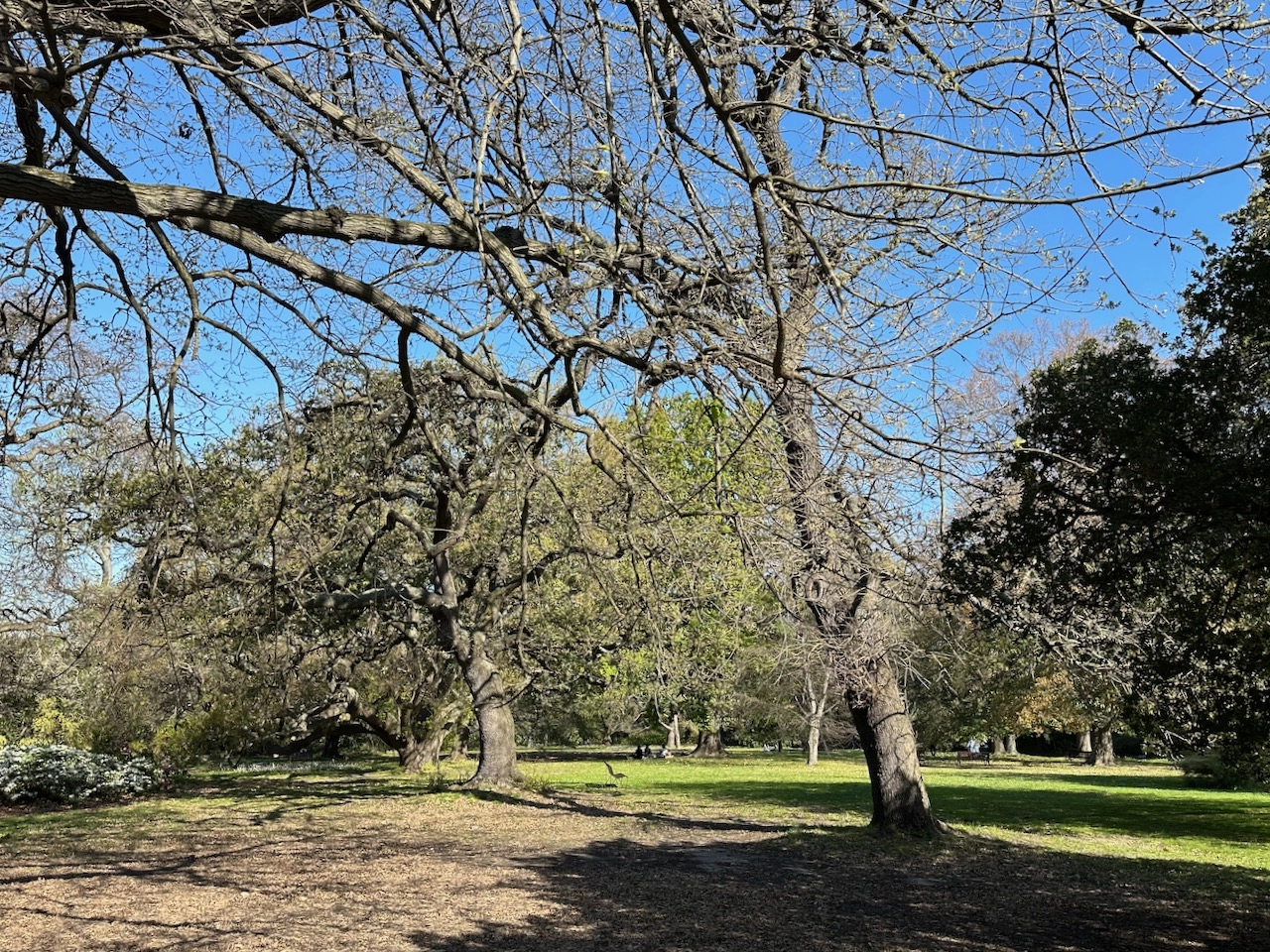 royal botanic gardens
