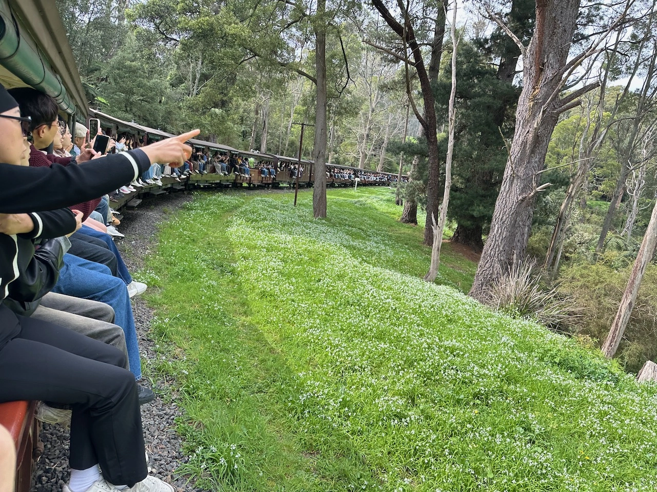 puffing billy